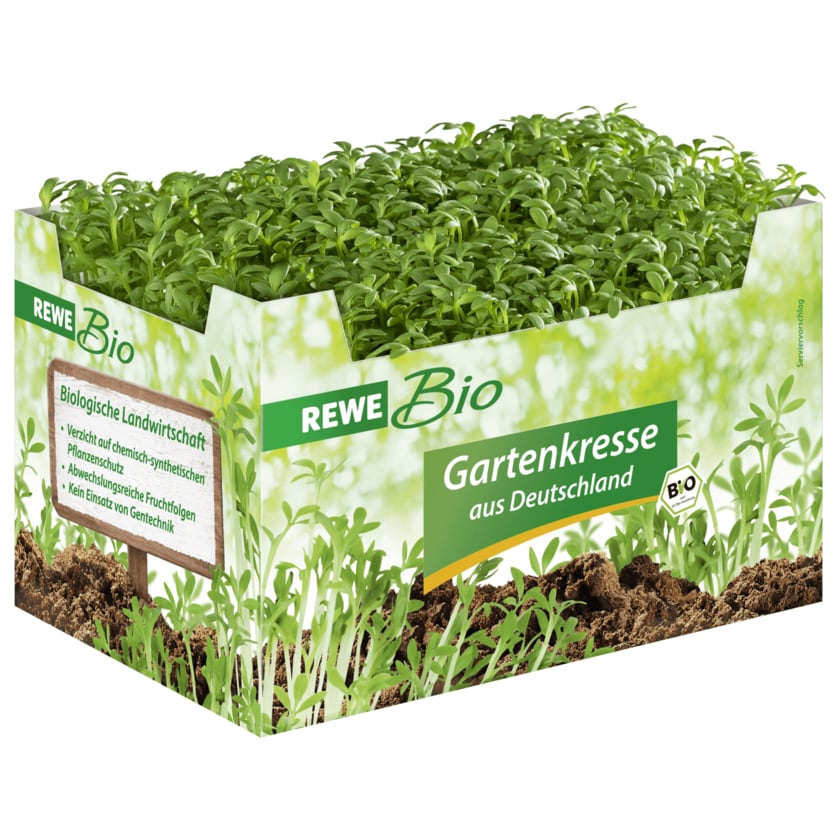 REWE Bio Gartenkresse 1 Stück
